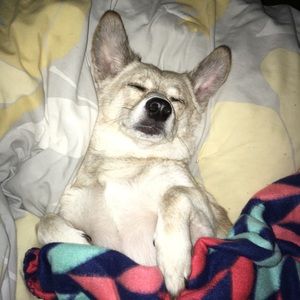 Meet your Posher, Mckenna